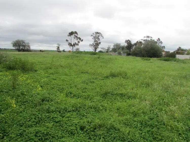 1 Newry Street, Watchem VIC 3482