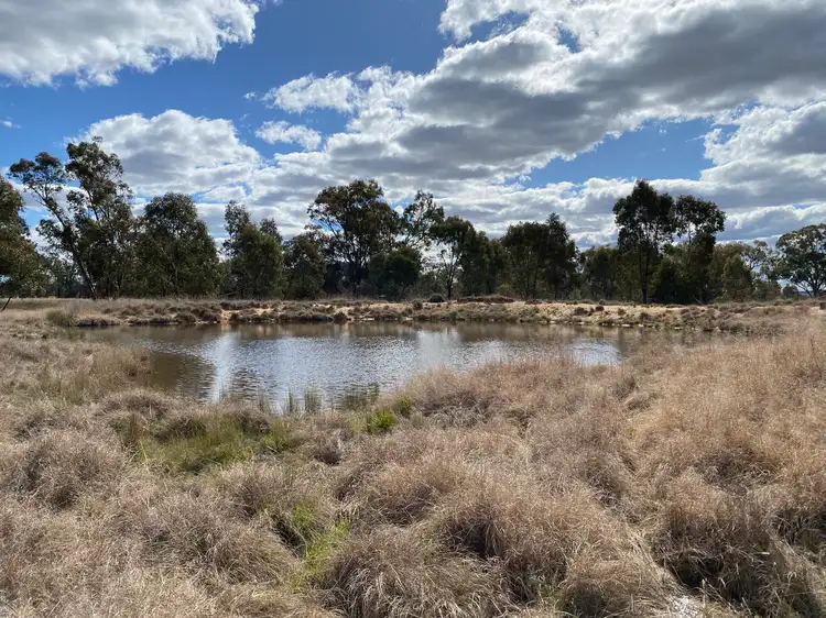 63 McGuiness Road, Weetaliba NSW 2395