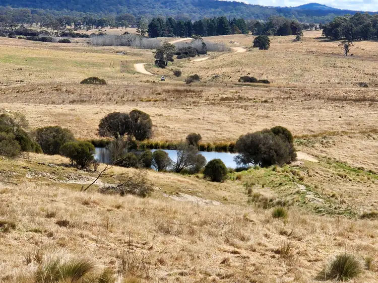 Main view of Homely rural property listing, 876 Boro Road, Boro NSW 2622