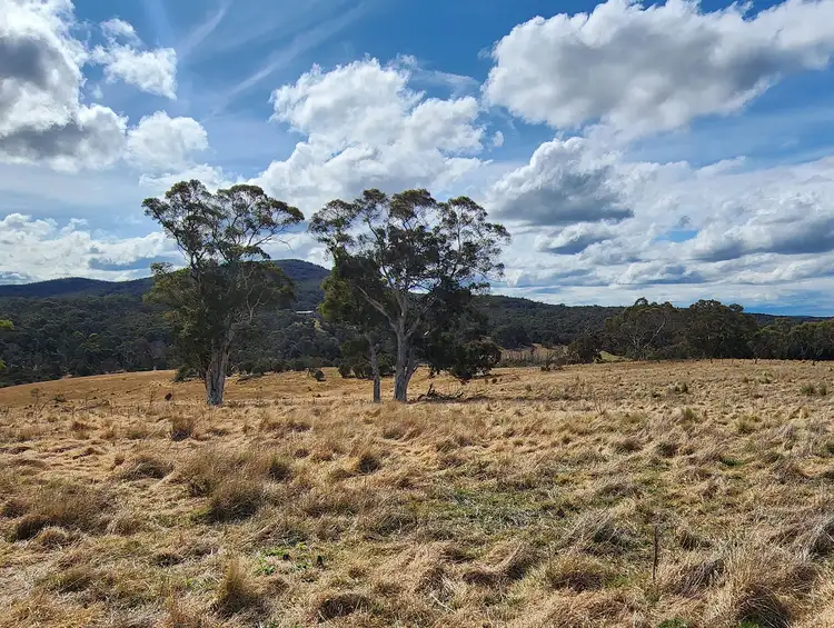 Third view of Homely rural property listing, 876 Boro Road, Boro NSW 2622
