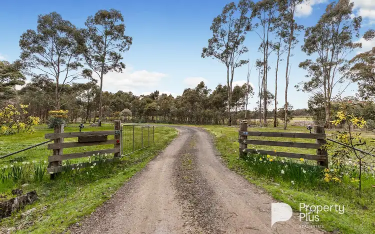 Third view of Homely house listing, 403 Ottreys Scrub Road, Walmer VIC 3463