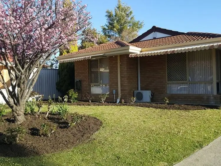 Main view of Homely semi-detached listing, 17A Carmil Place, Alexander Heights WA 6064