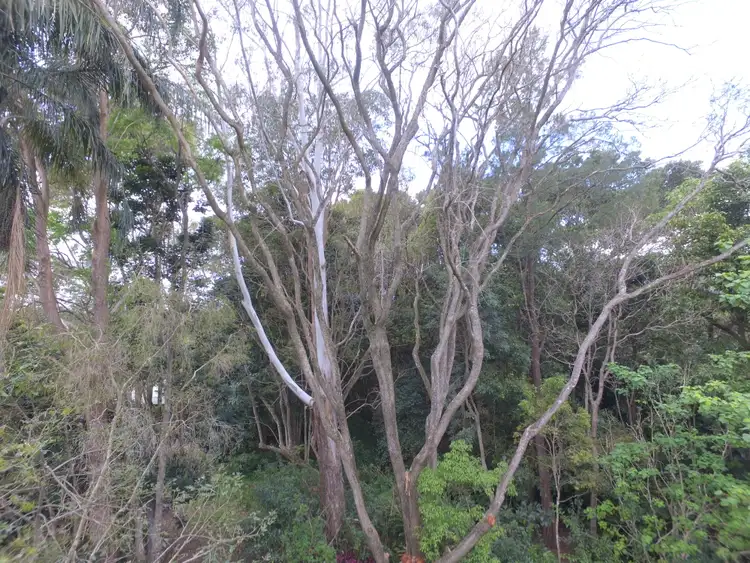 Third view of Homely house listing, 30 Palm Street, Maleny QLD 4552