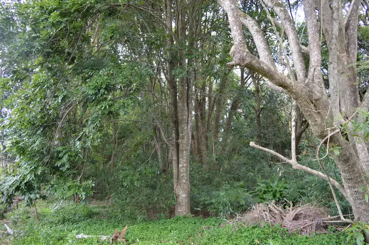 Fifth view of Homely house listing, 30 Palm Street, Maleny QLD 4552
