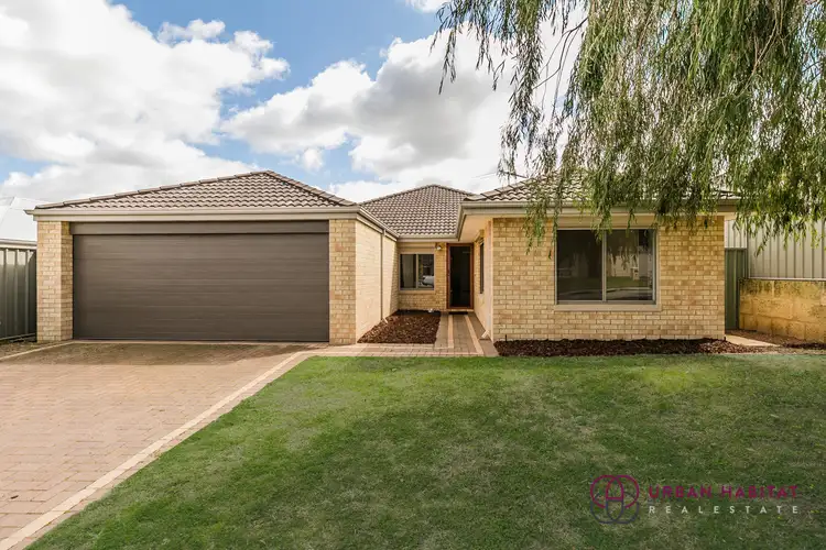 19 Halstead Turn, Wellard WA 6170