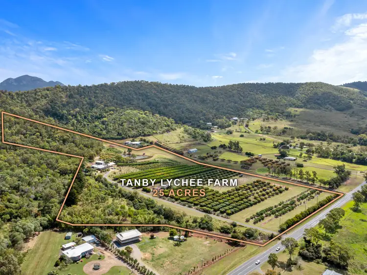 Second view of Homely rural property listing, 924 Tanby Road, Tanby QLD 4703