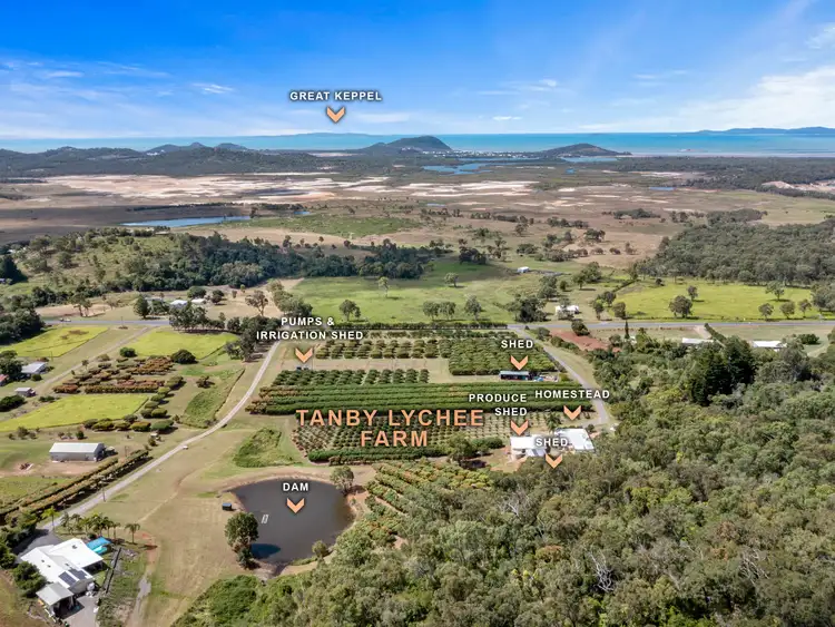 Fourth view of Homely rural property listing, 924 Tanby Road, Tanby QLD 4703