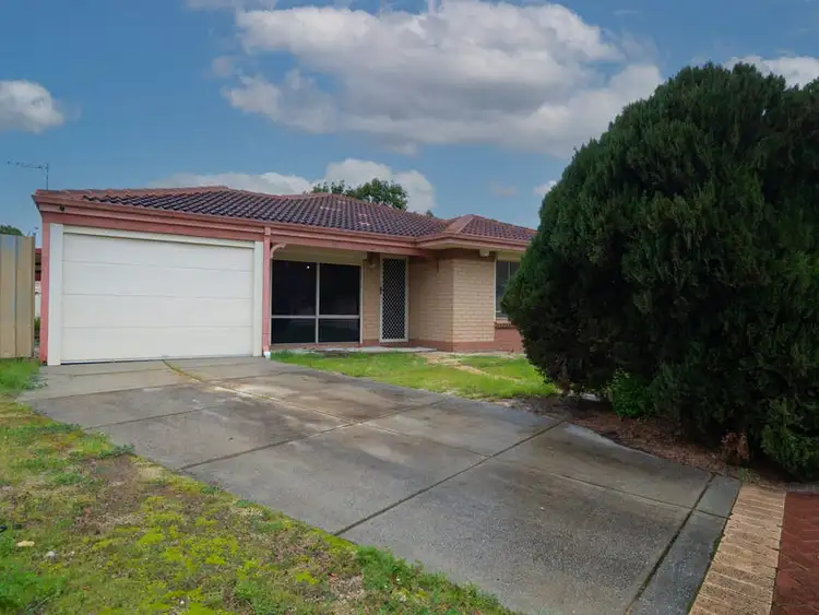 Second view of Homely house listing, 16 Petrel Close, Seville Grove WA 6112