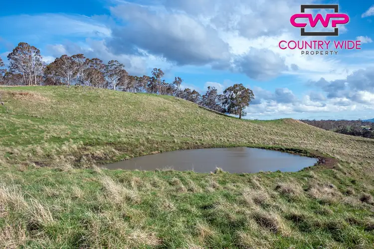 Sixth view of Homely rural property listing, 719 Glen Legh Road, Glen Innes NSW 2370