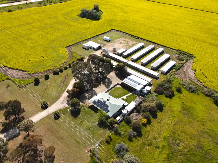 Main view of Homely rural property listing, 5998 Loddon Valley Highway, Bears Lagoon VIC 3517