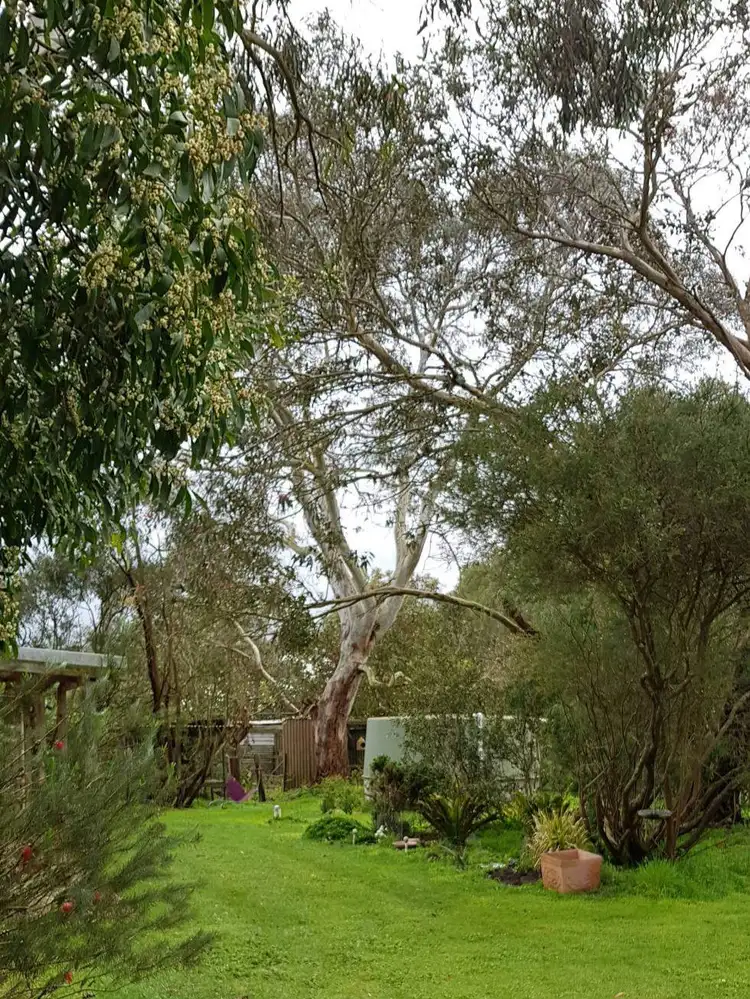 Seventh view of Homely house listing, 7904 Princes Highway, Mumbannar VIC 3304