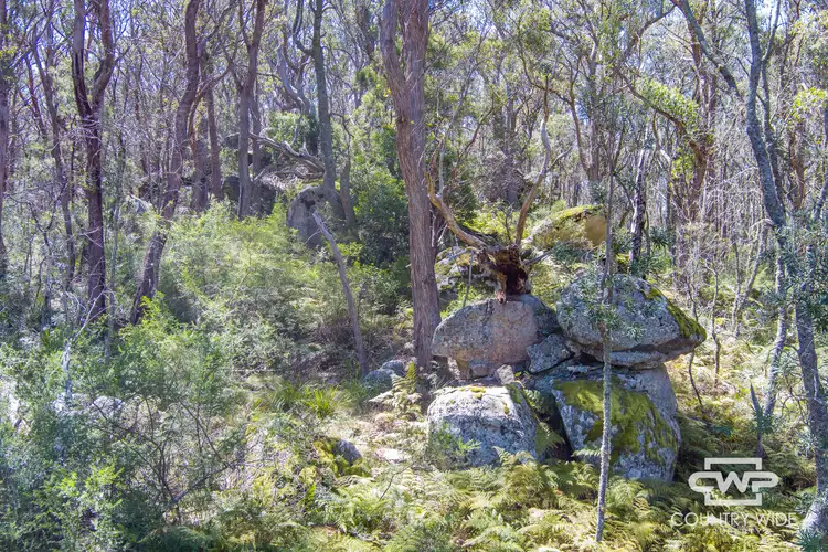 Second view of Homely rural property listing, 593 Aqua Park Road, Mount Mitchell NSW 2365