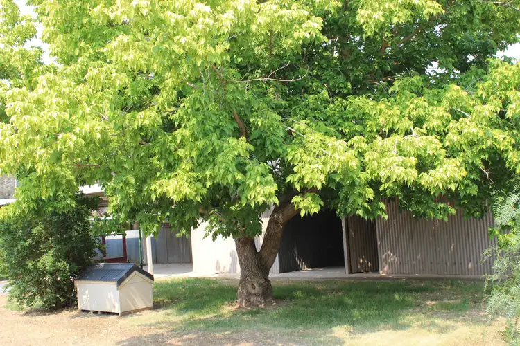 Main view of Homely house listing, 53 Tulip Street, Violet Town VIC 3669