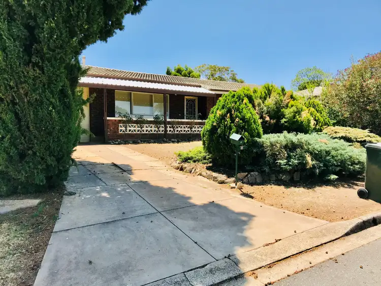 14 Wirilda Avenue, Surrey Downs SA 5126