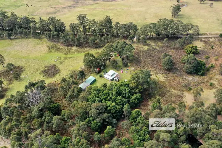 Fifth view of Homely house listing, 82 Wombat Road, Wombat Creek VIC 3888