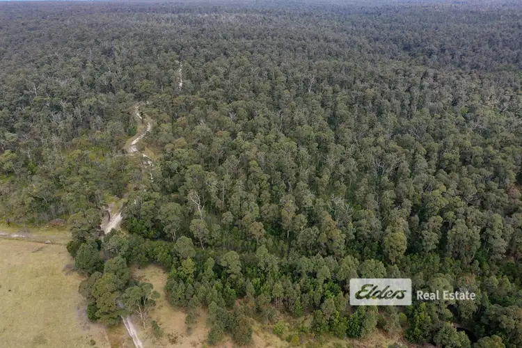 Seventh view of Homely house listing, 82 Wombat Road, Wombat Creek VIC 3888