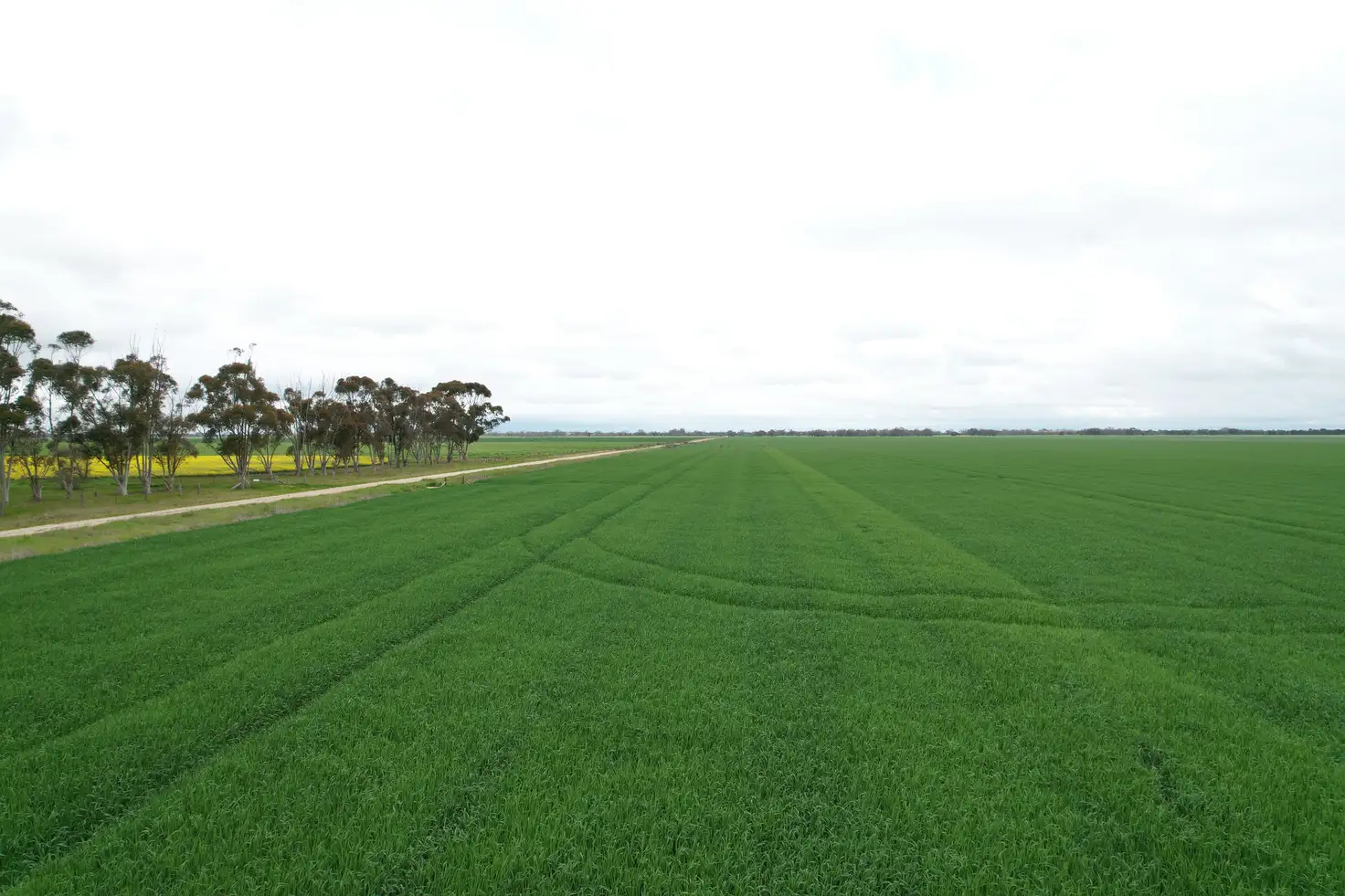 Main view of Homely land listing, C/A 12 & 13 Elmore-Mitiamo Road, Milloo VIC 3572