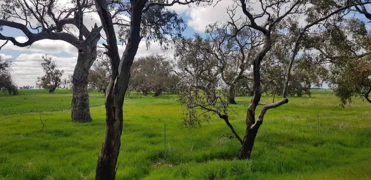 Second view of Homely land listing, C/A 12 & 13 Elmore-Mitiamo Road, Milloo VIC 3572