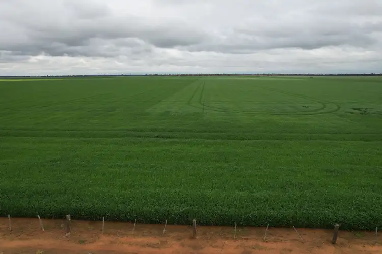 Fourth view of Homely land listing, C/A 12 & 13 Elmore-Mitiamo Road, Milloo VIC 3572