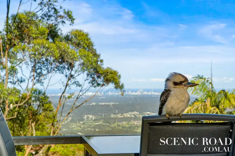 Second view of Homely rural property listing, 45 Central Avenue, Tamborine Mountain QLD 4272