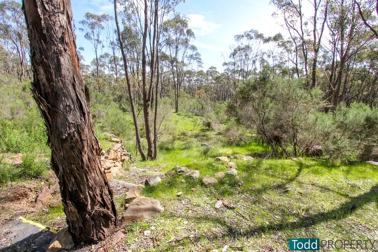 Fourth view of Homely rural property listing, 21 Bonneys Lane, Heathcote VIC 3523