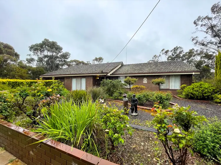 Main view of Homely house listing, 13 Smith Street, Lalbert VIC 3542