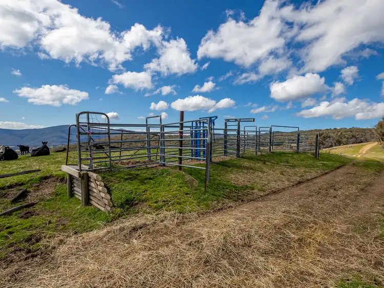 Sixth view of Homely rural property listing, Egan Lane, Sandy Creek VIC 3695