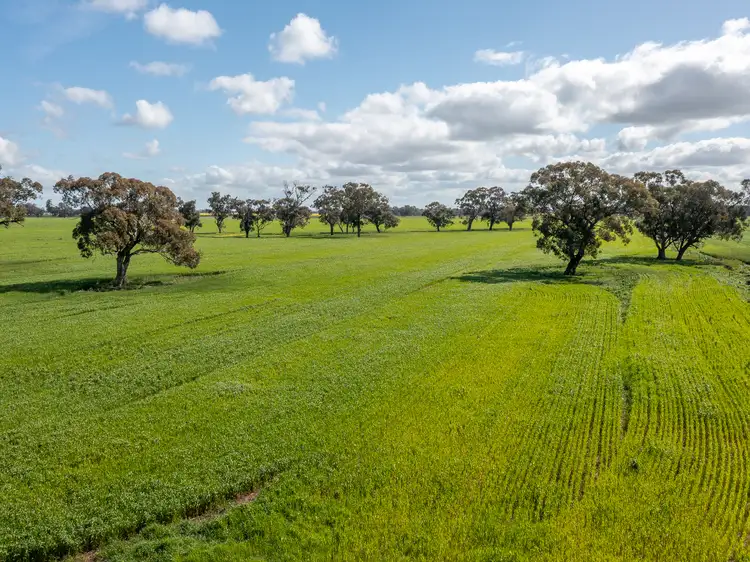 1 Humeden Road, Collendina NSW 2646