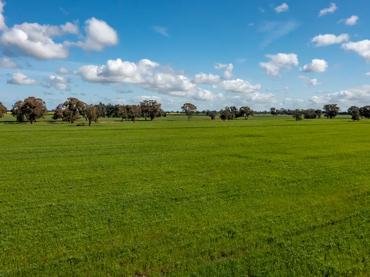 Second view of Homely rural property listing, 1 Humeden Road, Collendina NSW 2646