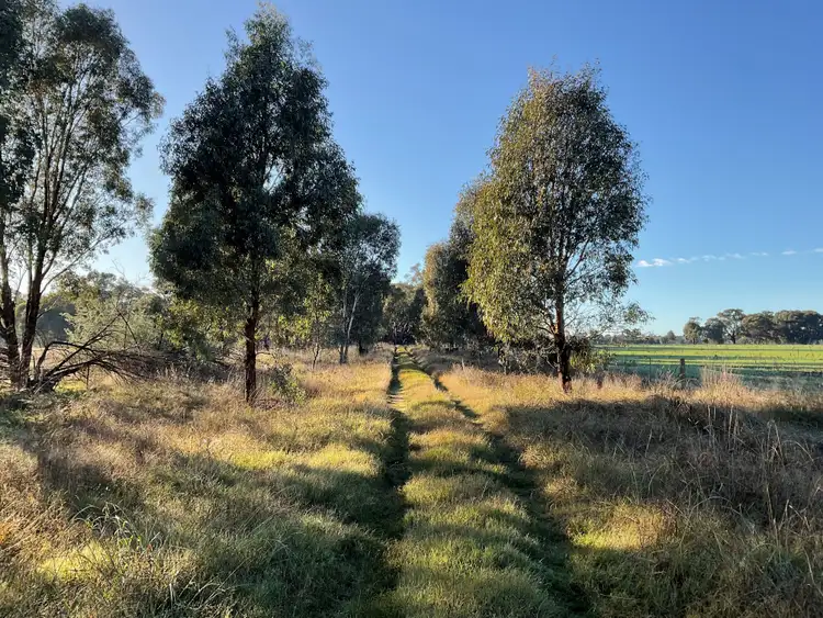 Third view of Homely rural property listing, Wallace Consul Road, Lilliput VIC 3682