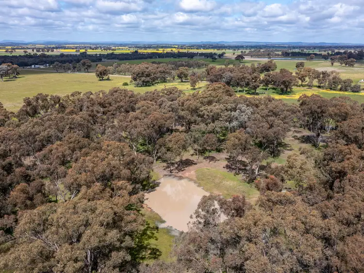 Third view of Homely rural property listing, LOT 33, 36 & 36A Walsh Road, Carlyle VIC 3685