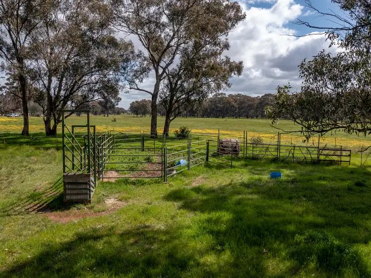 Fifth view of Homely rural property listing, LOT 33, 36 & 36A Walsh Road, Carlyle VIC 3685