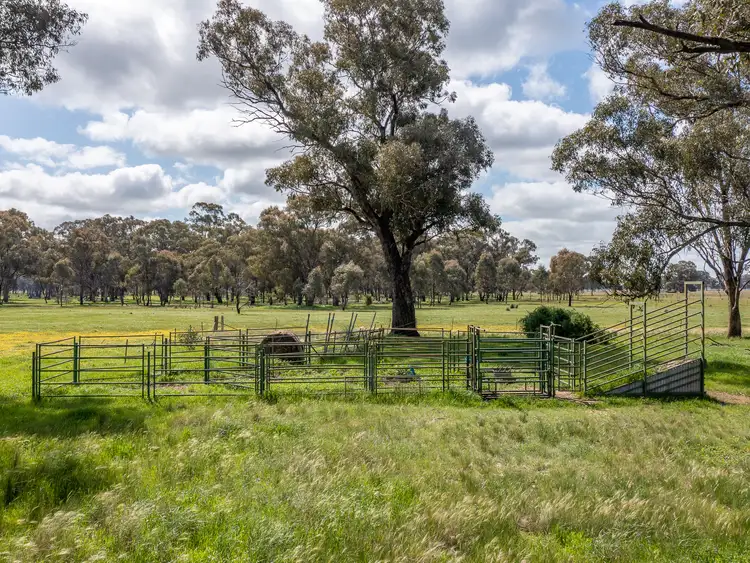 Sixth view of Homely rural property listing, LOT 33, 36 & 36A Walsh Road, Carlyle VIC 3685