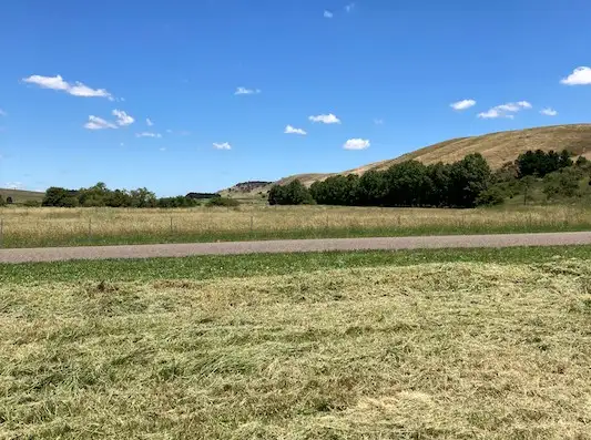 Sixth view of Homely land listing, 3 Glenoval Road, Lake Bathurst NSW 2580