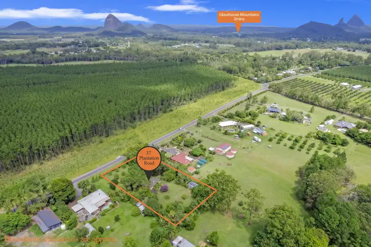 Main view of Homely house listing, 37 Plantation Road, Glass House Mountains QLD 4518