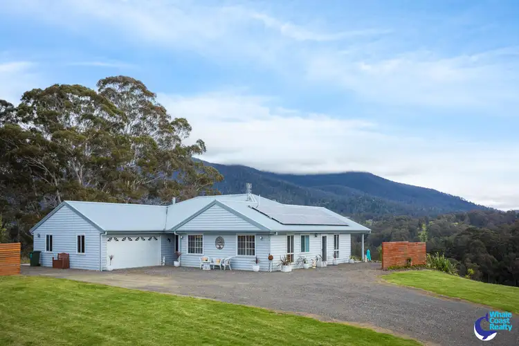 Second view of Homely rural property listing, 241 Ridge Road, Central Tilba NSW 2546