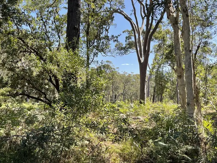 Third view of Homely land listing, Lot 6 Koree Street, Pindimar NSW 2324