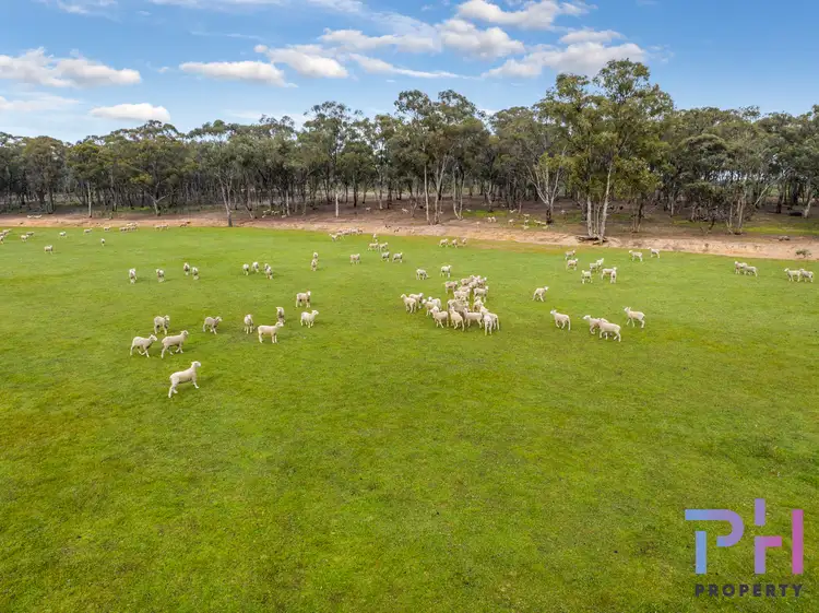 Fourth view of Homely rural property listing, 43 Rowe Lane, Marong VIC 3515