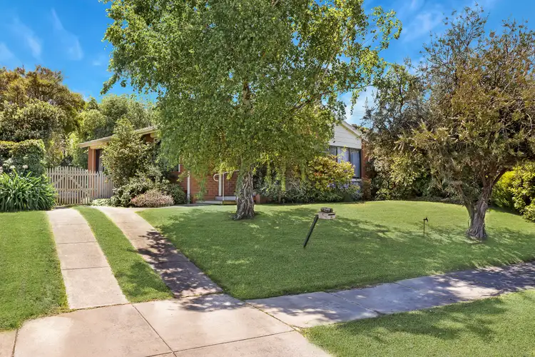 Main view of Homely house listing, 54 Essex Park Drive, Endeavour Hills VIC 3802