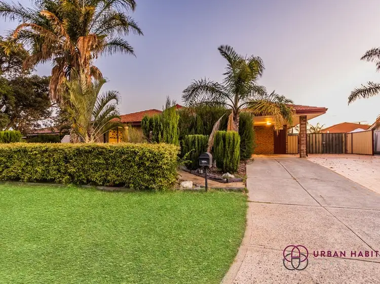 Main view of Homely house listing, 18 Riley Place, Leda WA 6170