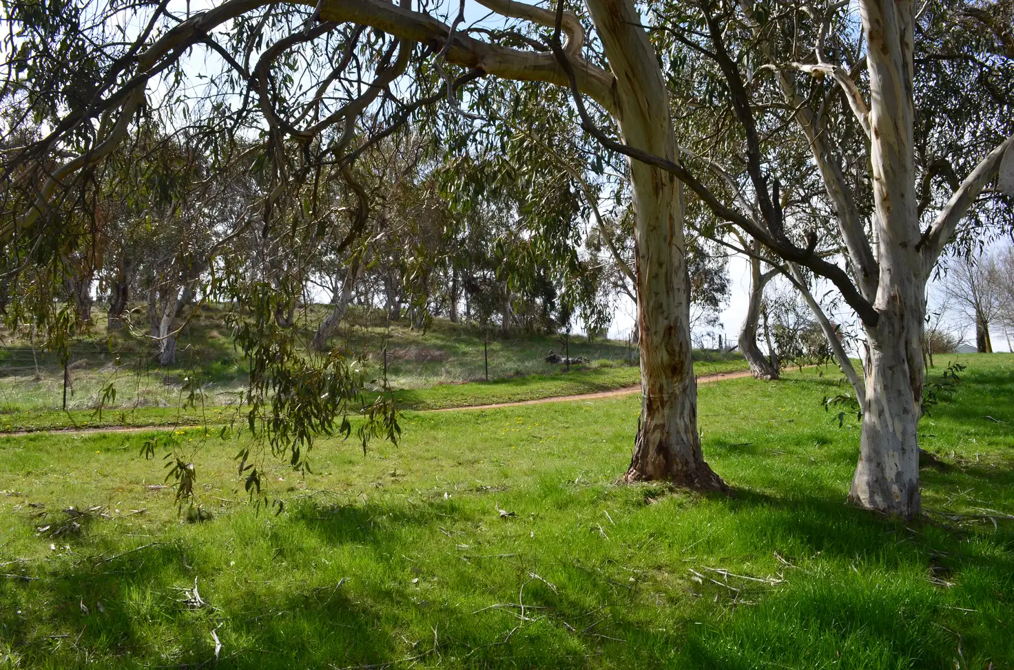 Main view of Homely rural property listing, 16 Windradeen Road, Adaminaby NSW 2629