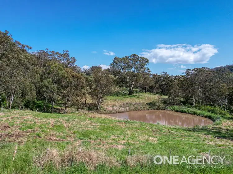 Fifth view of Homely land listing, 21 Swinging Ridges Road, Ardglen NSW 2338