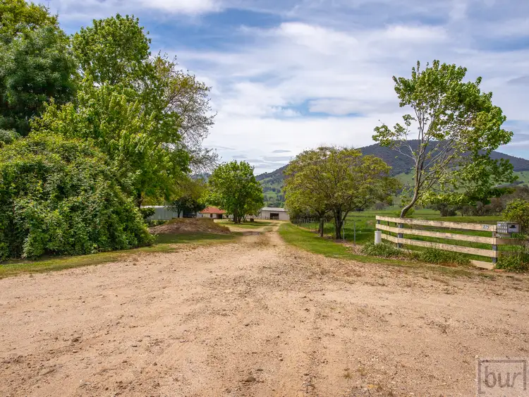 Main view of Homely rural property listing, 275 Soldier Settlers Road, Tallangatta Valley VIC 3701