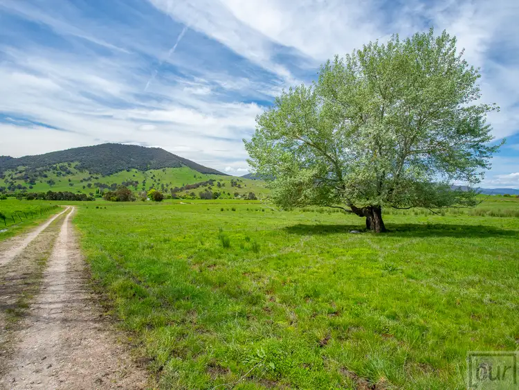Sixth view of Homely rural property listing, 275 Soldier Settlers Road, Tallangatta Valley VIC 3701
