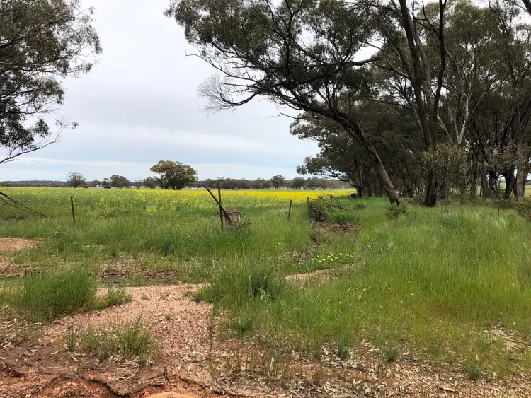 Sixth view of Homely land listing, 2000 Nine Mile South-Wedderburn Road, Wedderburn VIC 3518