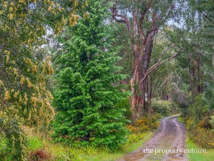 Fifth view of Homely house listing, 7483 Huon Highway, Strathblane TAS 7109