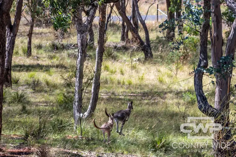 Fifth view of Homely land listing, 21 Marshall Way, Emmaville NSW 2371