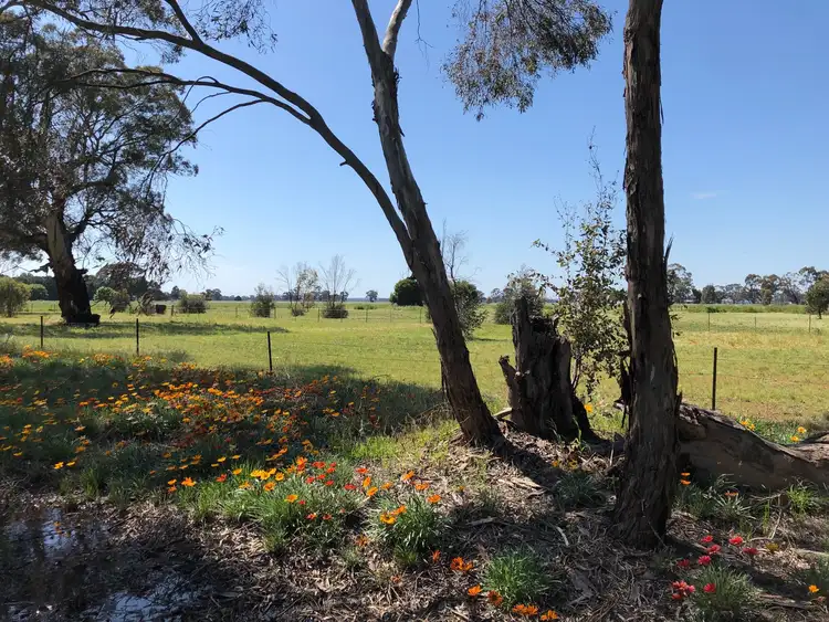 Second view of Homely land listing, LOT 1 Newbridge-Marong Road, Newbridge VIC 3551
