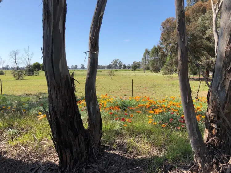 Sixth view of Homely land listing, LOT 1 Newbridge-Marong Road, Newbridge VIC 3551