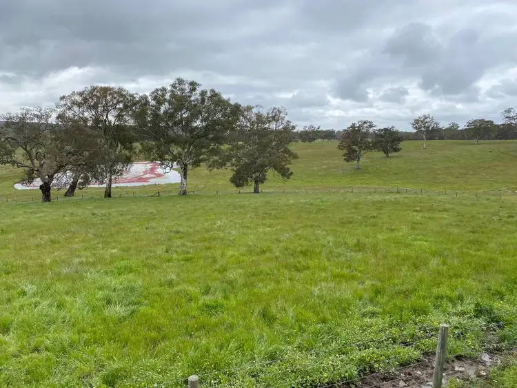 Seventh view of Homely rural property listing, 86 Woolshed Road, Mount Torrens SA 5244